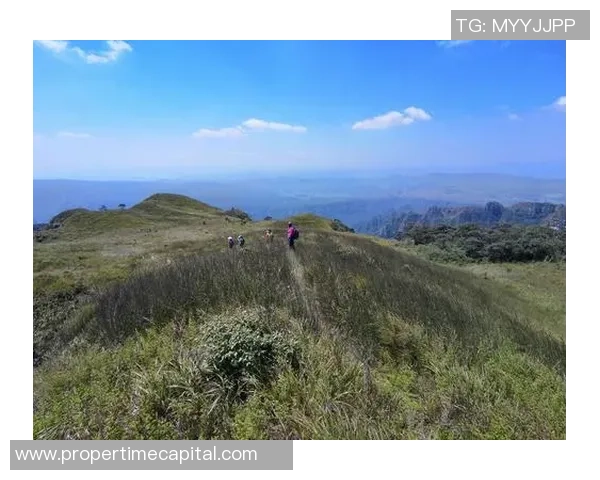 热血足球巨星激情呐喊震撼壁纸点燃球迷无限热情